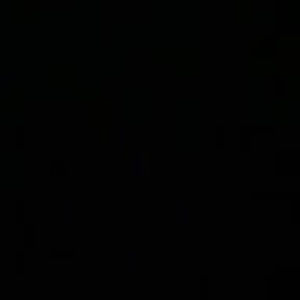 Meet your Posher, Ledia